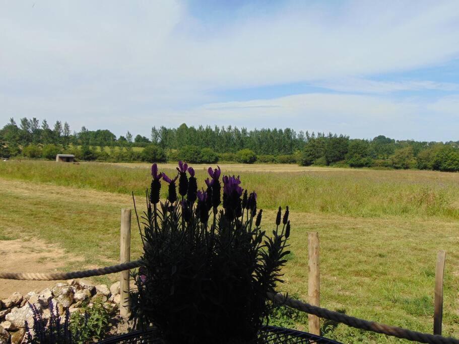Secret & Secluded Sedlescombe Holiday home