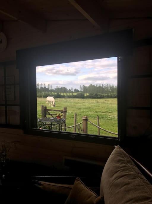 Secret & Secluded Sedlescombe Holiday home *