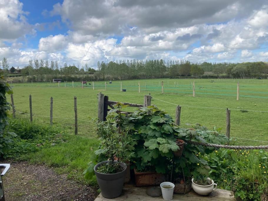 Holiday home Secret & Secluded Sedlescombe Battle